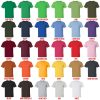 t shirt color chart - Devil May Cry Store